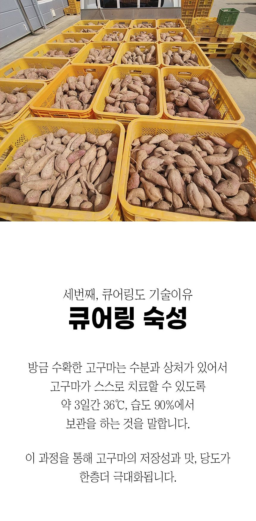 상세 이미지 9