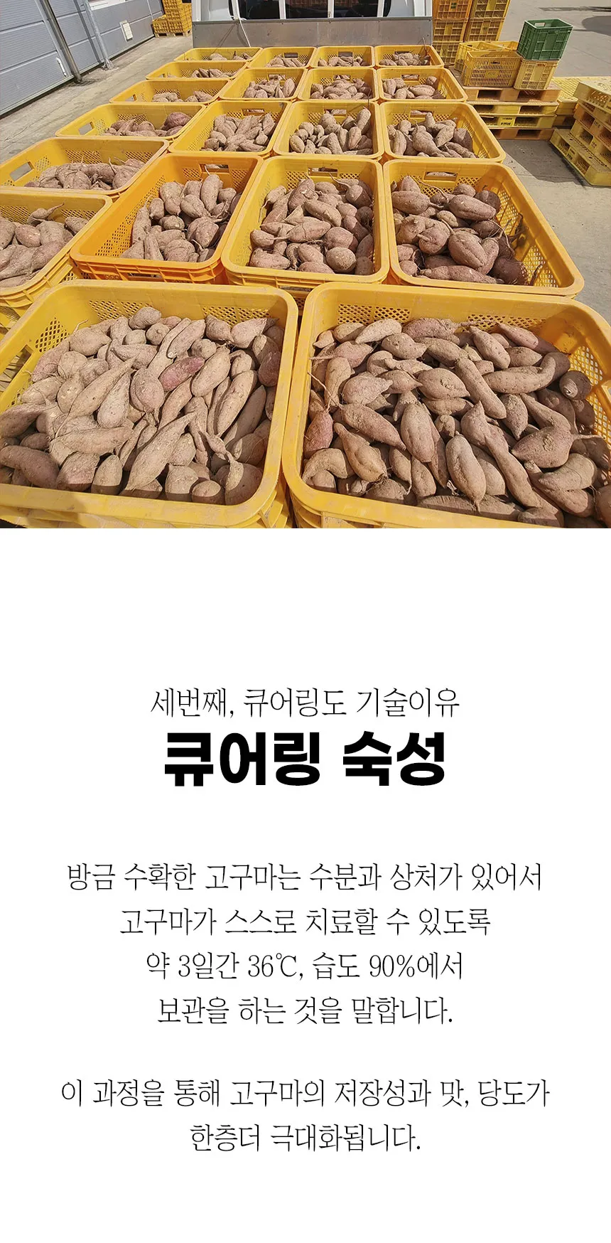 상세 이미지 9