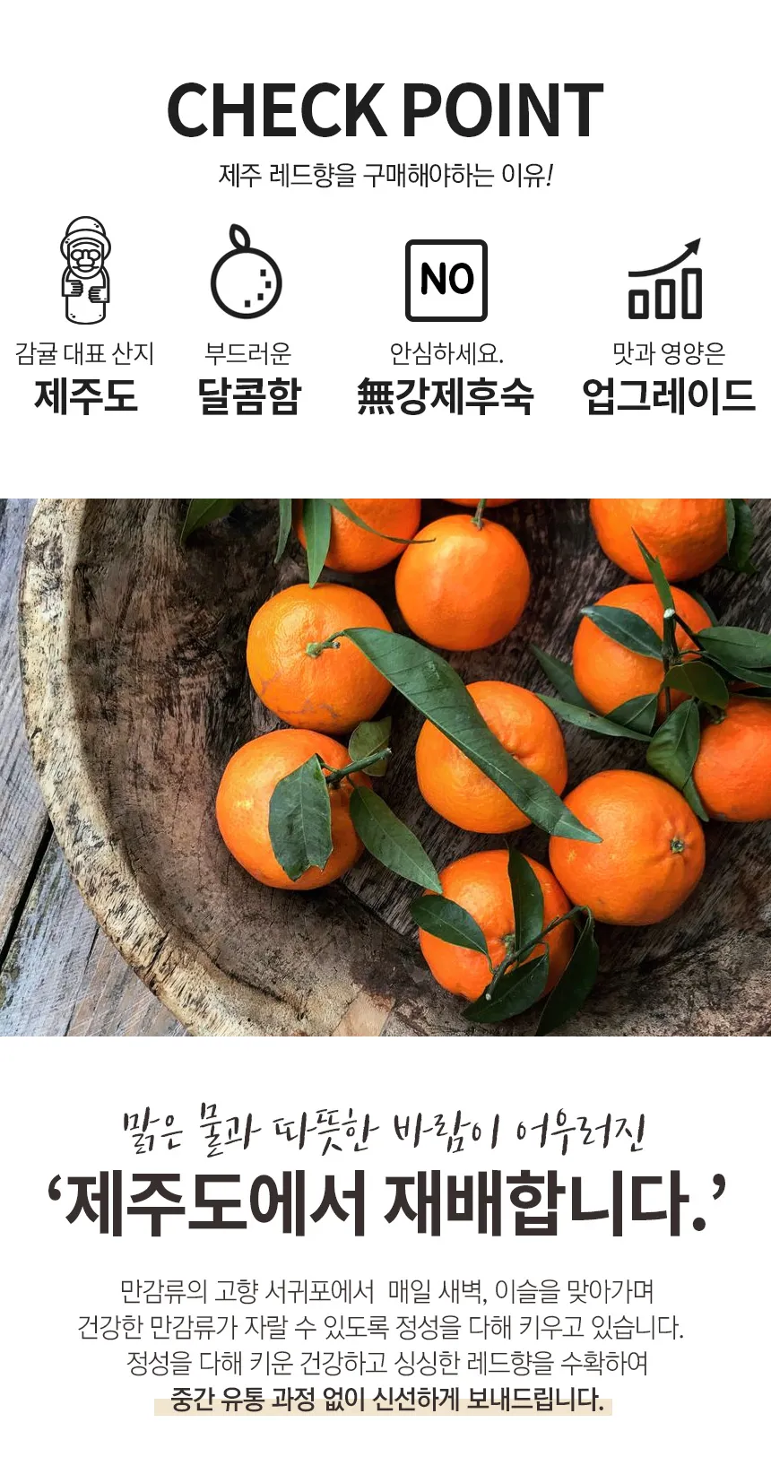 상세 이미지 2